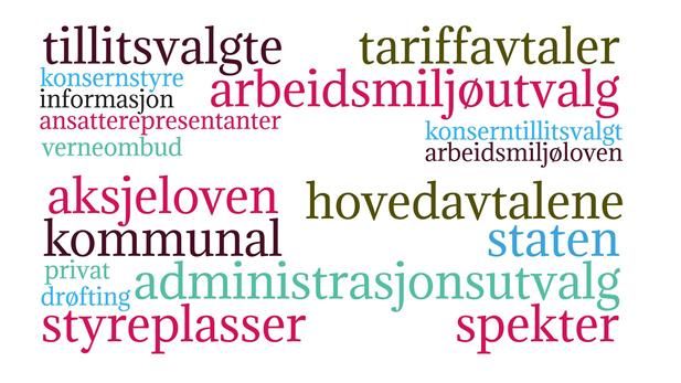 <p>I DENNE ARTIKKELEN tilbyr vi en gjennomgang av reguleringen av arbeidstakernes rettigheter innen bedriftsdemokratiet. Dette innebærer ordninger for verneombud, arbeidsmiljøutvalg, rettigheter til informasjon og drøfting, ansatterepresentanter og styreplasser, samt administrasjonsutvalg</p>